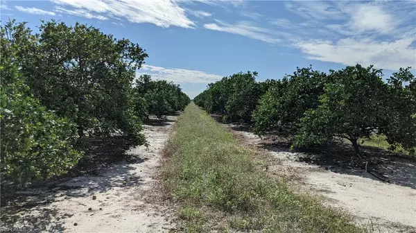 Lots 10-11 7th RD, Labelle, FL 33935