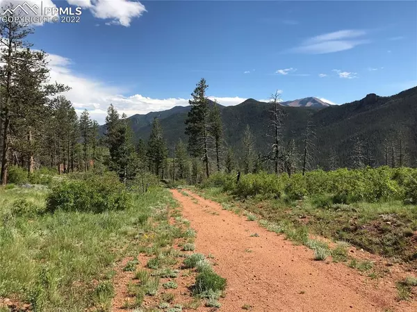 Cascade, CO 80809,4201 Pyramid Mountain RD