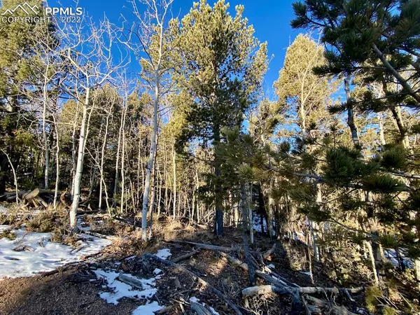 Woodland Park, CO 80863,17 & 9 Methow LN