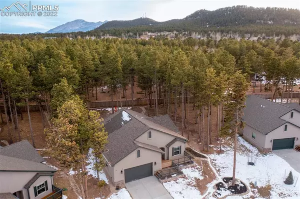 Woodland Park, CO 80863,1161 Ptarmigan DR