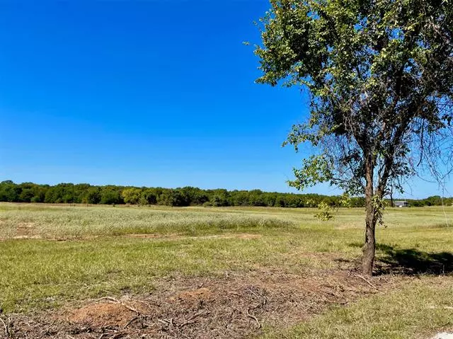 Lot 6 Stanley Lane, Poolville, TX 76487