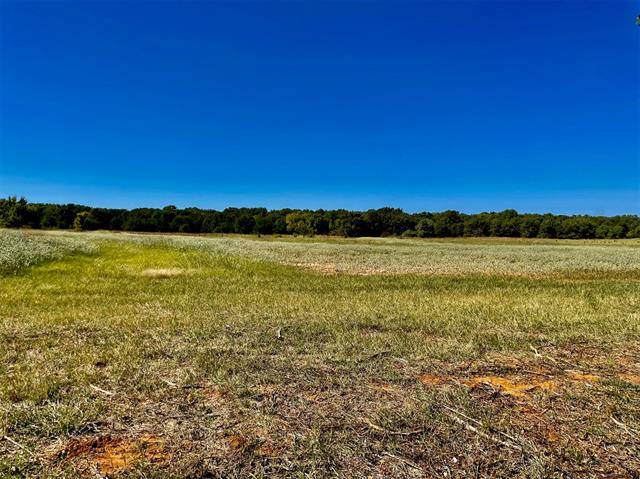 Lot 5 Stanley Lane, Poolville, TX 76487