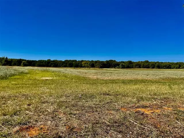 Poolville, TX 76487,Lot 5 Stanley Lane