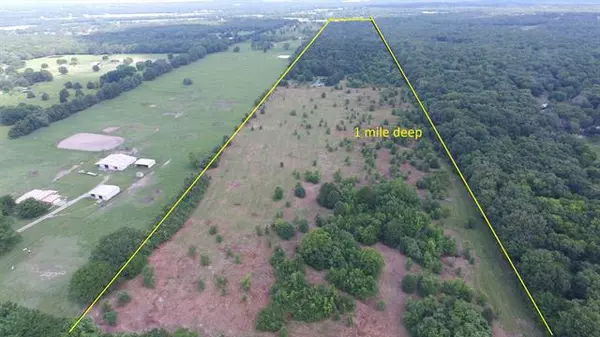 Wills Point, TX 75169,TBD Vz County Road 3816