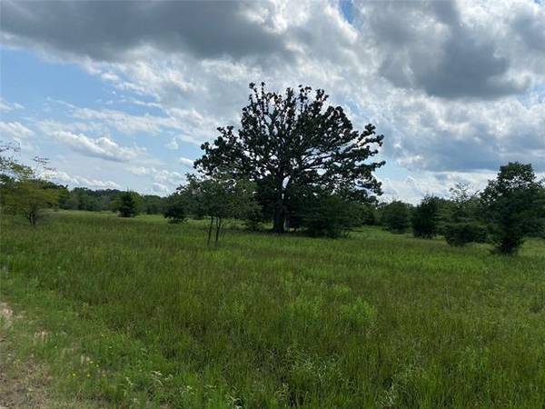 TBD County Road 1060 NW, Talco, TX 75487