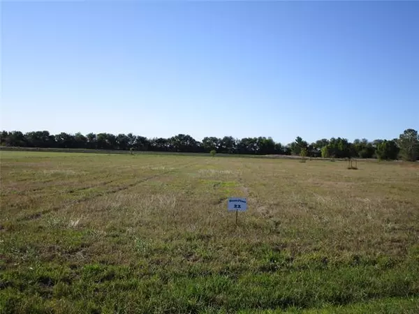 Greenville, TX 75401,TBD Blue Berry Hill Road