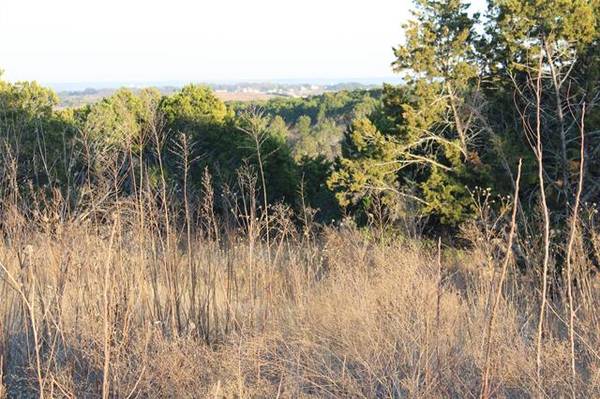 TBD County Road 302,  Granbury,  TX 76048