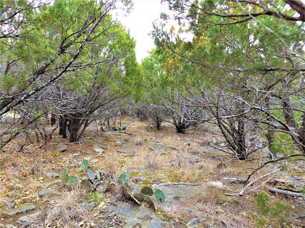 Lot 209 Harbour Town Drive, Possum Kingdom Lake, TX 76449