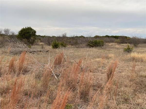 Lot 144 Crooked Stick Drive, Graford, TX 76449