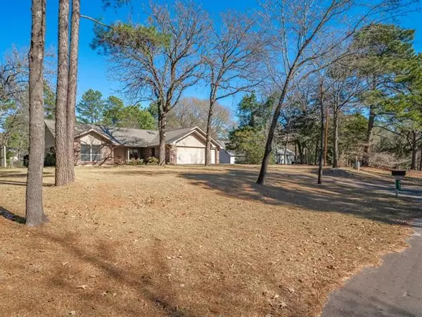 Holly Lake Ranch, TX 75765,362 Meadow View Path