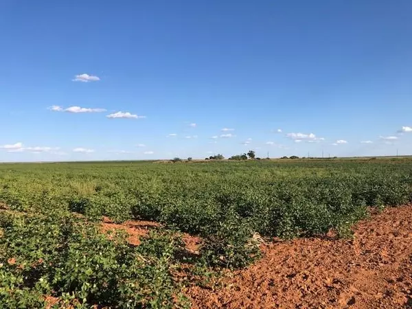 Rotan, TX 79546,TBD- County Road 213