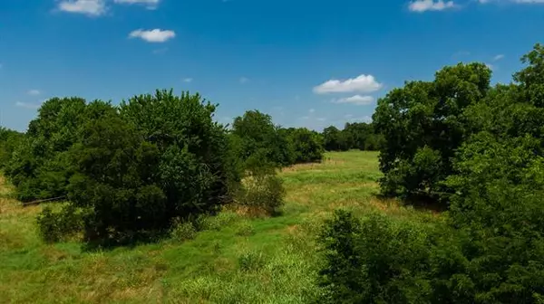 Ector, TX 75439,Tract A County Rd 4040