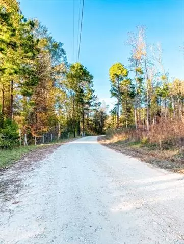 Palestine, TX 75801,TBD Private Road 6294