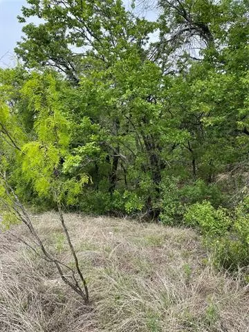 Lot 103 Ash Court, Runaway Bay, TX 76426