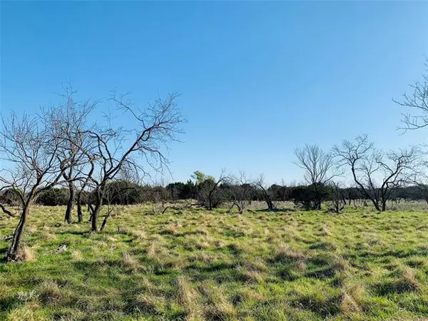 Graford, TX 76449,Lot  1 CRAWFORD Road