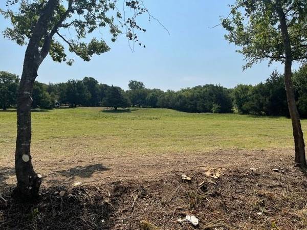 TBD W Lot 3 Massey Road, Pilot Point, TX 76258