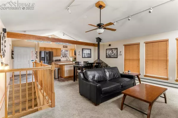 Woodland Park, CO 80863,15970 Willow WAY