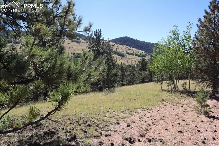 78 Red Cloud CIR, Cripple Creek, CO 80813