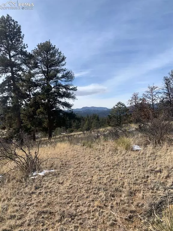 187 Circle DR, Florissant, CO 80816