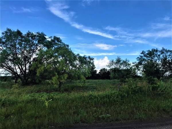 Lot 1 Block Road, Gunter, TX 75058