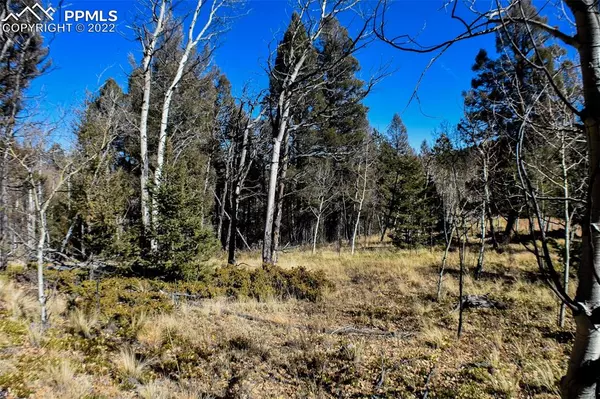 Florissant, CO 80816,117 Cheyenne WAY