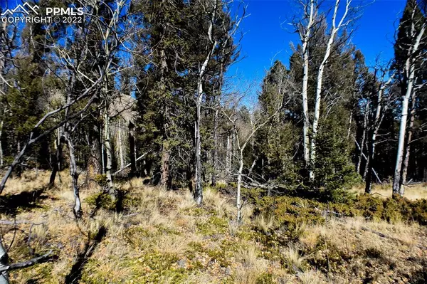 Florissant, CO 80816,117 Cheyenne WAY