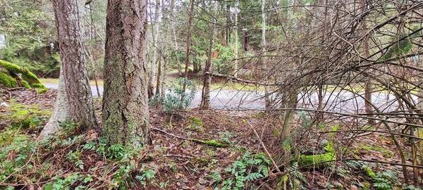 Pender Island, BC V0N 2M2,Lot 38 Pirates Rd