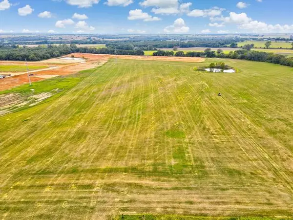 Tolar, TX 76476,TBD Safari Court