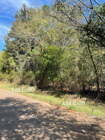 0 CR 4256 Lots 29 & 30, Henderson, TX 75654