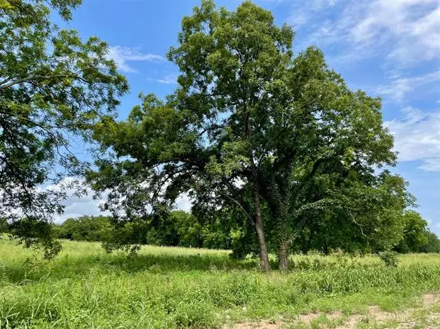 Weatherford, TX 76087,Lot 70 Cartwright Road