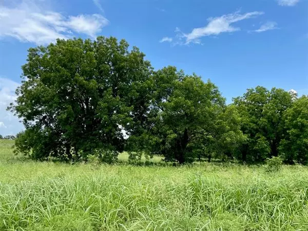 Weatherford, TX 76087,Lot 70 Cartwright Road