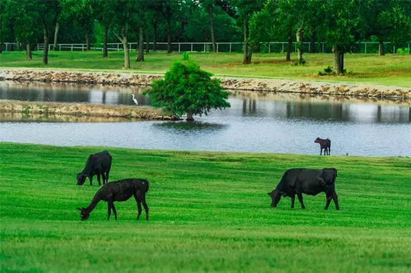 Flower Mound, TX 75022,5900 Cross Timbers Road