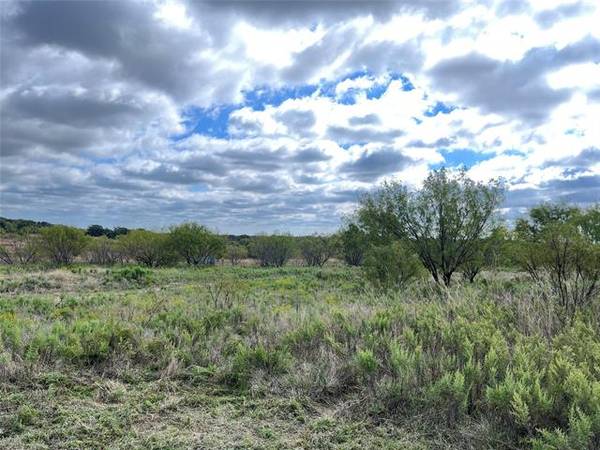 Tract 2 CR 223, Cisco, TX 76471