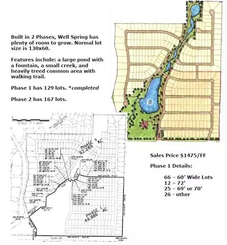 Celina, TX 75009,TBD1 Warm Springs Lane