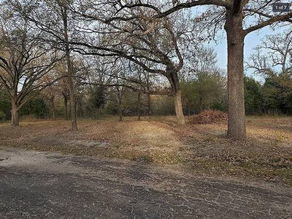 000 Dogwood Drive, Trinidad, TX 75163