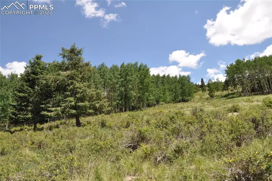 308 Troy WAY, Cripple Creek, CO 80813