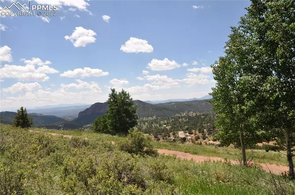 Cripple Creek, CO 80813,308 Troy WAY