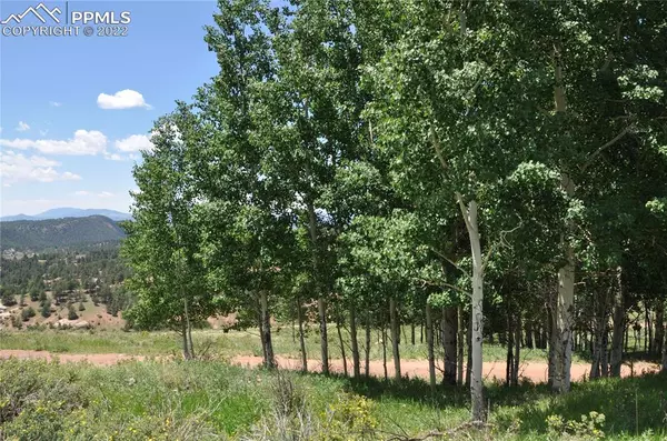 Cripple Creek, CO 80813,308 Troy WAY