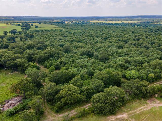 TBD County Road 109 #5, Mingus, TX 76401