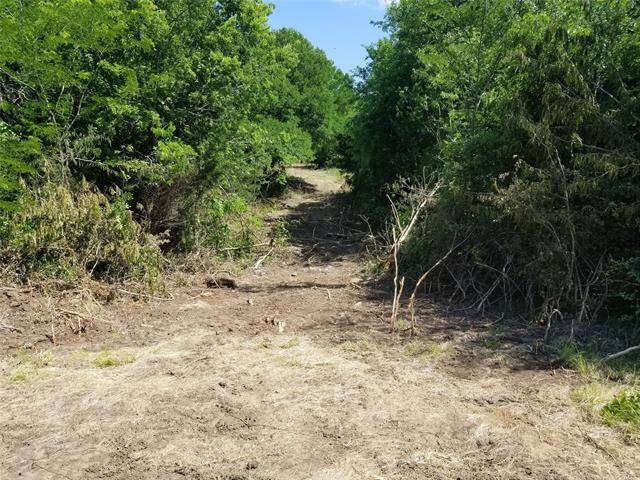 6.5 Ac Pecan Highway #69, Bells, TX 75414