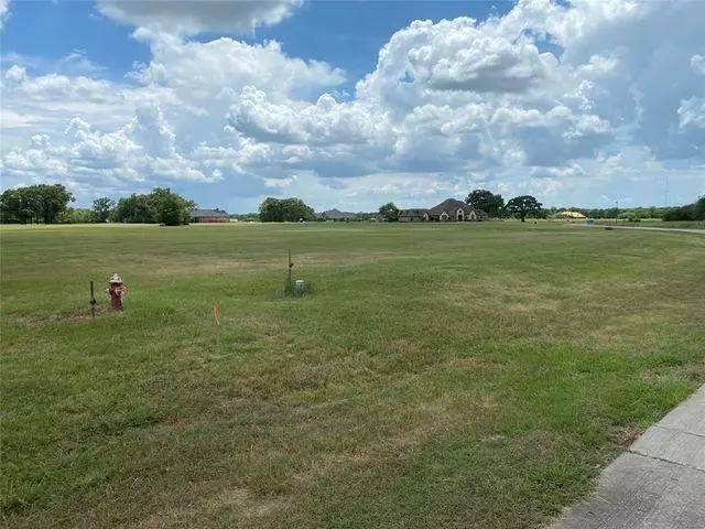 1511 Canyon Lake Road, Wills Point, TX 75169