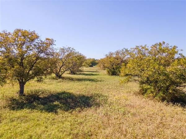 TBD County Road 109 #1, Mingus, TX 76401