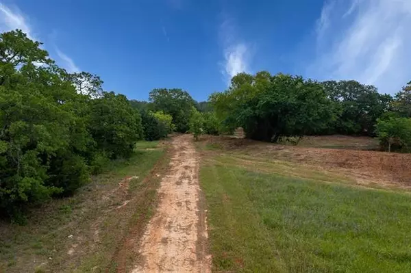 Bowie, TX 76230,TBD Hwy 287 N Access Road