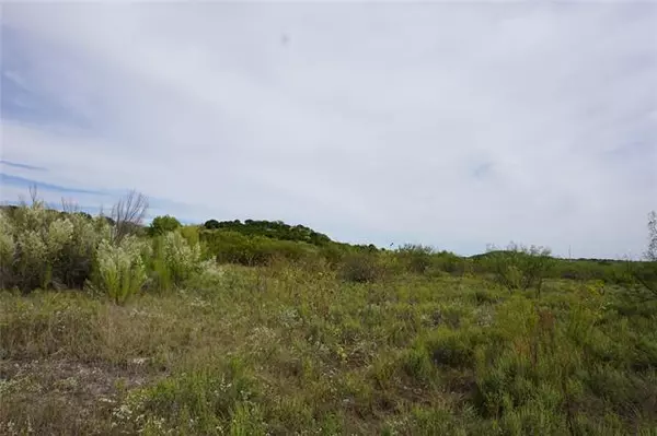 Possum Kingdom Lake, TX 76449,LT 65 Wild Turkey