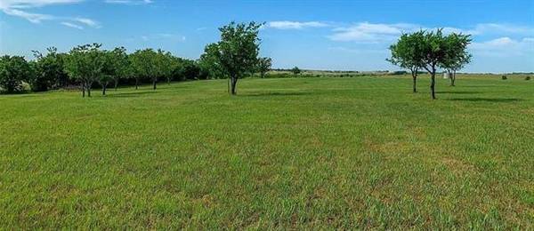 TBD T N Skiles Road,  Ponder,  TX 76259