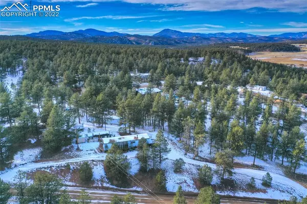 250 Forest Glen TRL, Florissant, CO 80816