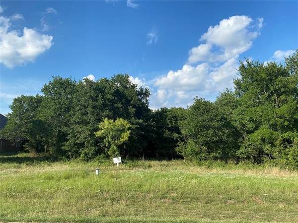 00 S Sugartree Drive, Lipan, TX 76462