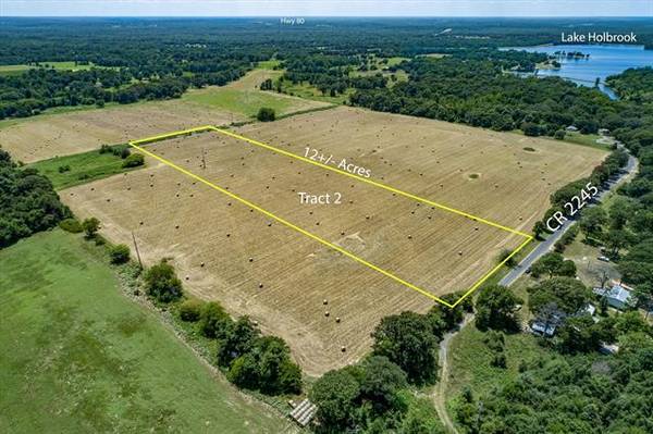 TBD County Road 2245 #2, Mineola, TX 75773