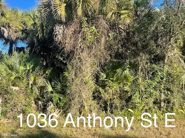 Lehigh Acres, FL 33974,1036 Anthony ST E