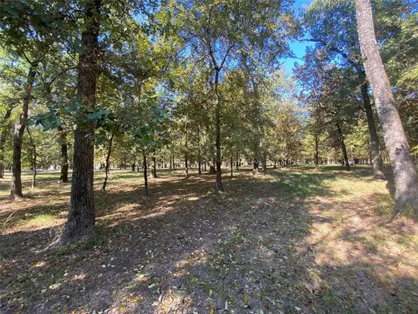 Mabank, TX 75156,101 Blue Heron Way